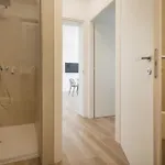 Apartman Oliveto 24