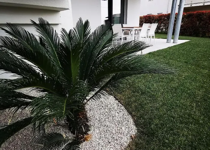 Apartment Oliveto 24 Bardolino