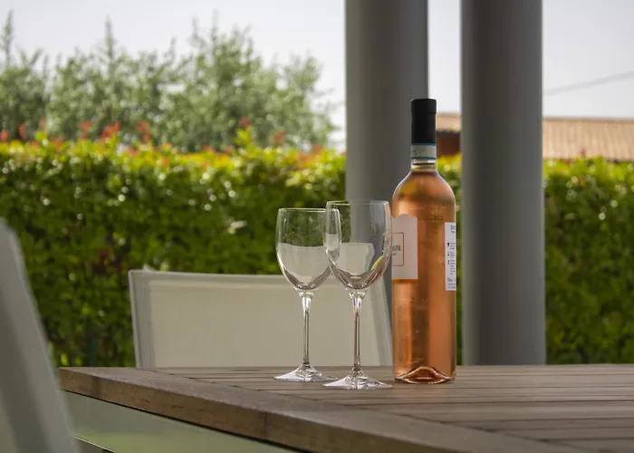 Oliveto 24 Bardolino
